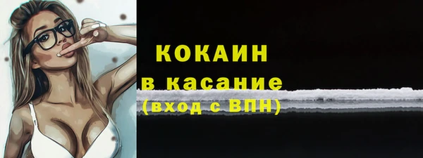 индика Армянск
