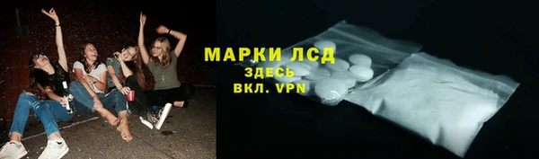 индика Армянск