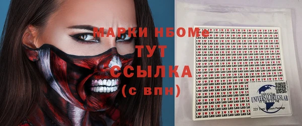 индика Армянск