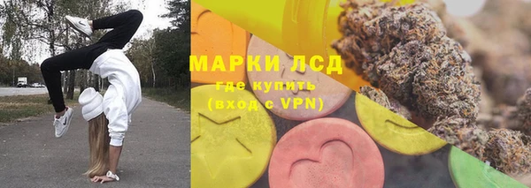 индика Армянск
