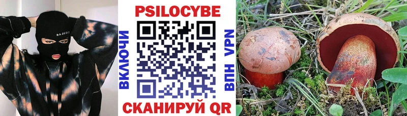 наркошоп Артёмовский Псилоцибиновые грибы прущие грибы