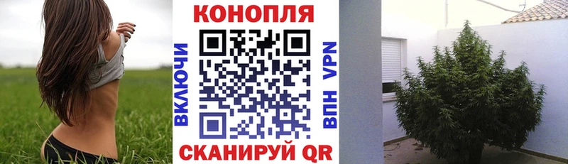 darknet Telegram  Артёмовский  Каннабис марихуана 